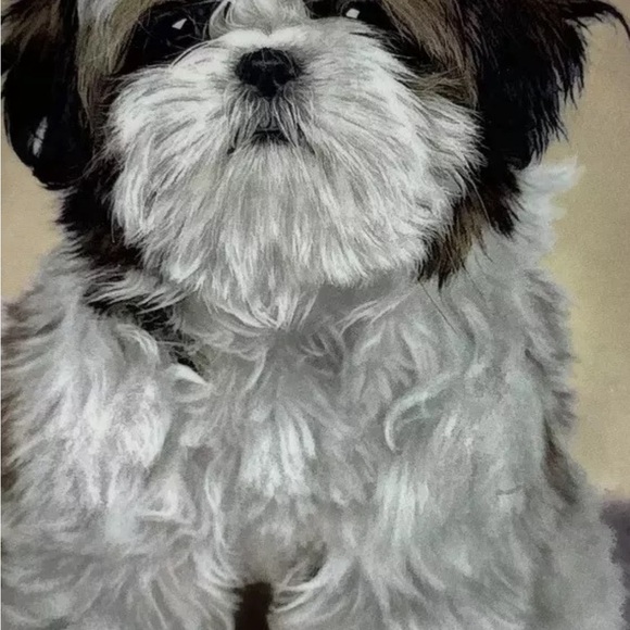 Cherished Shih Tzus HEART OF GOLD Plate Dog Puppy Danbury Mint Tzu Charming! - Picture 7 of 8